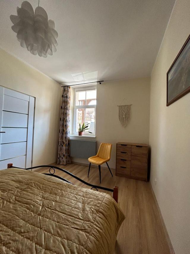 Apartament Nad Galeria Blisko Centrum Kudowy كودوفا- زدروي المظهر الخارجي الصورة